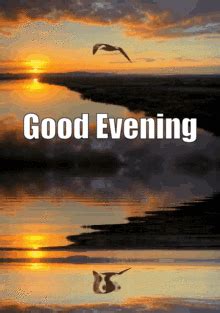 Good evening gif| Funny romantic love friend meme GIF video to wish evening