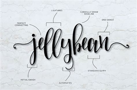 Free Modern Calligraphy Font