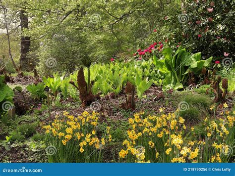 English Landscape Garden in Spring Stock Photo - Image of parkland ...