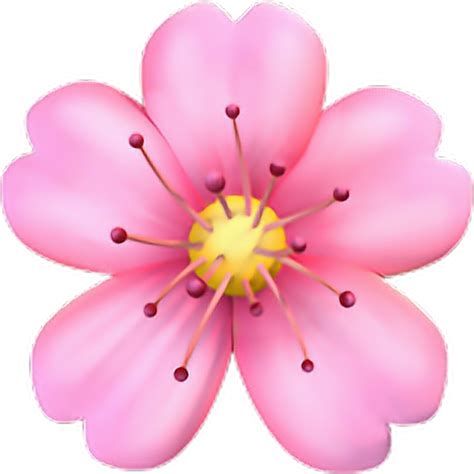 Flower emoji png, Flower emoji png Transparent FREE for download on WebStockReview 2024