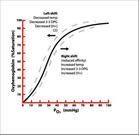 Oxygen dissociation curve | Respiratory therapist student, Dissociation, Respiratory therapy