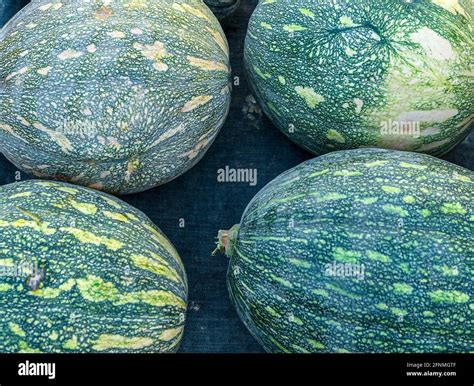 Petha hi-res stock photography and images - Alamy