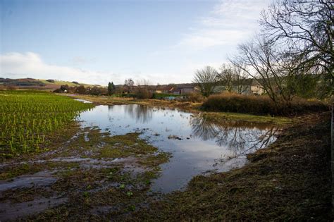 River Eden: Sepa warning after Scottish Water spill killed hundreds of fish