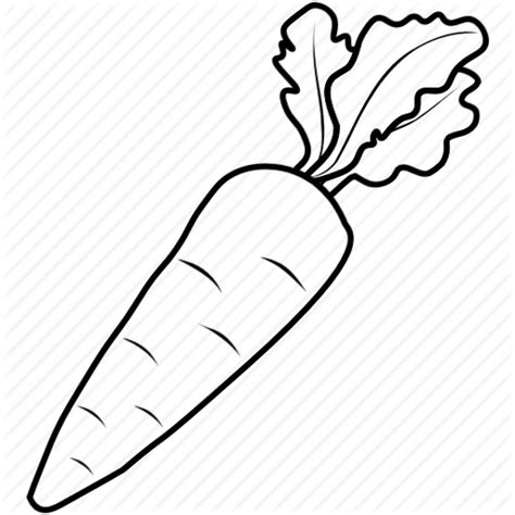 Download High Quality carrot clipart drawing Transparent PNG Images - Art Prim clip arts 2019