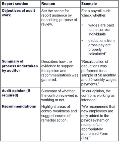 Internal Control Audit Report Template (4)