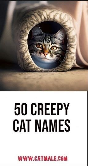 50 Creepy Cat Names | Cat names, Creepy cat, Halloween names for cats