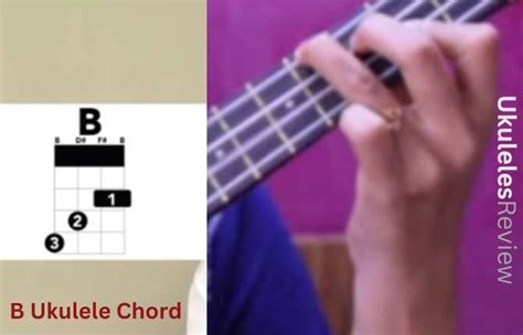 How to Play the B Ukulele Chord with 3 Easy Variations - Ukuleles Review