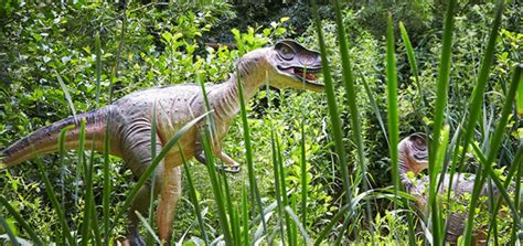 Jurassic Journey at Birdland Park & Gardens in Gloucestershire