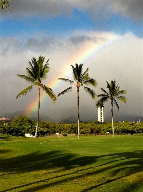 Golf Courses in Honolulu: 8 Amazing Places to Play Golf