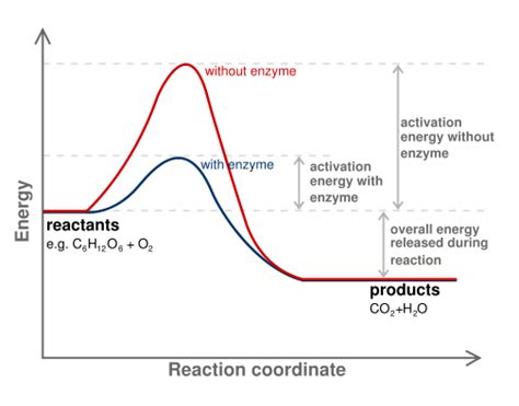 Chemical Reactions | Biology for Majors I