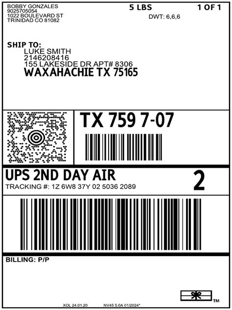 UPS Example Label | PDF