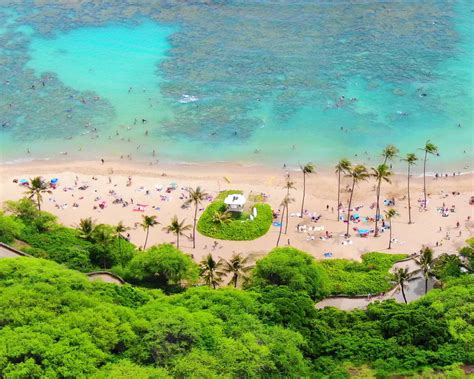 Hanauma Bay Beach Snorkel - Hanauma Bay State Park