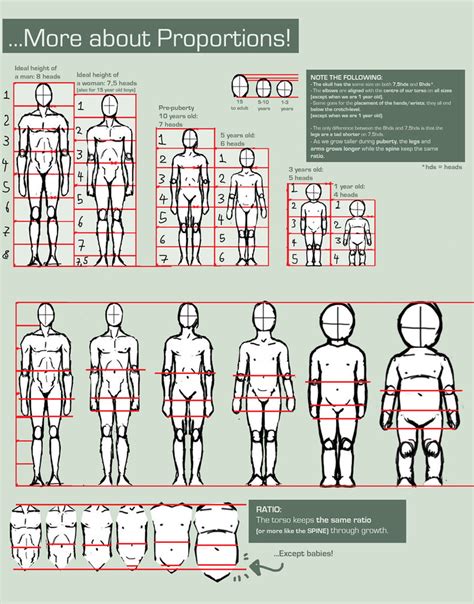 Child Anatomy Drawing at GetDrawings | Free download