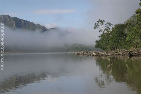 Madidi National Park: Tuichi River