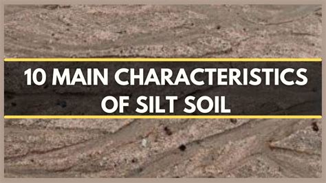 Characteristics Of Silt Soil