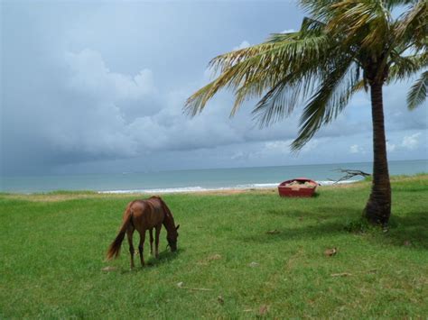 Luquillo Beach Puerto Rico | Beautiful islands, Island vacation ...