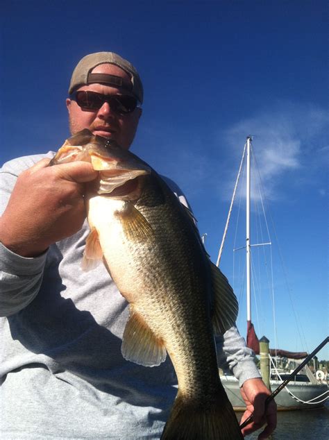 Pamlico River Variety - FishIBX Eastern NC Fishing Guide