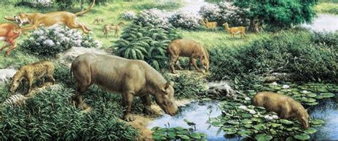 Oligocene - Alchetron, The Free Social Encyclopedia