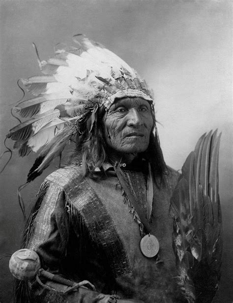 Native American Warrior, Native American Beauty, Native American Photos, American Indian Art ...