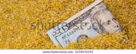 Us Dollar Bill Paper Money Currency Stock Photo 2234676545 | Shutterstock