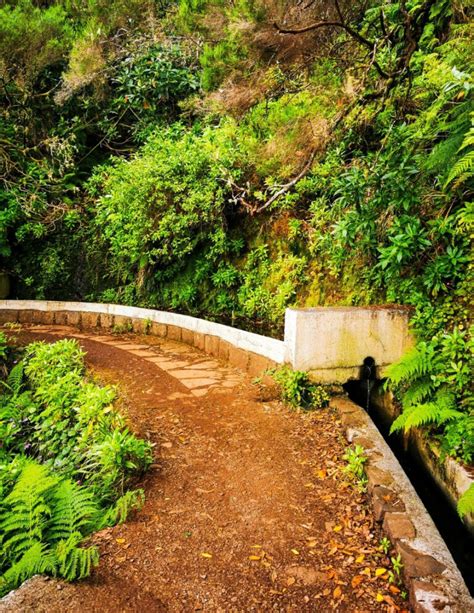 17+ Best Levada Walks in Madeira (+tips!)