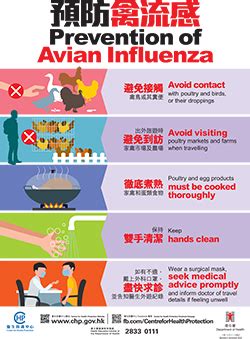 Centre for Health Protection - Avian Influenza