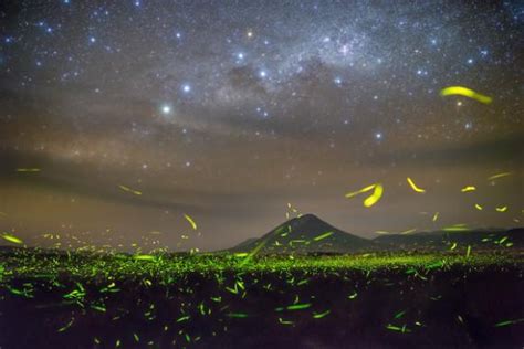 firefly photography Archives - Universe Today