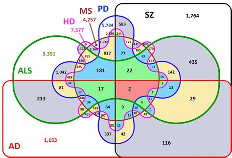 Venn diagram - 6 circles | Information visualization, Venn diagram, Graphing