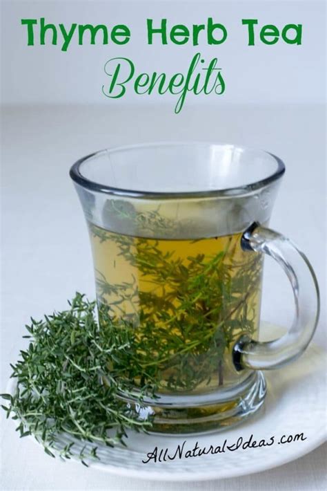 Thyme Herb Tea Benefits and How to Make | All Natural Ideas