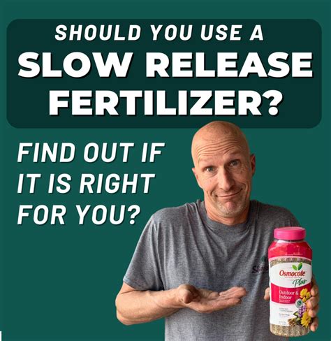 Should You Use a Slow Release Fertilizer? - Beat Your Neighbor