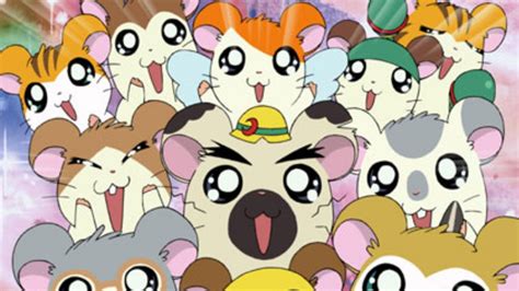 TV Time - Hamtaro: Little Hamsters, Big Adventures (TVShow Time)