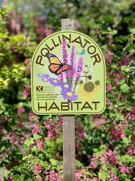 Pollinator Habitat Sign – Xerces Gift Center