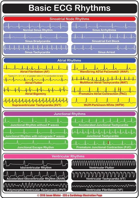 Nursing Notes Discover Tales From The Boo Boo Bus | Emergency nursing, Icu nursing, Critical ...