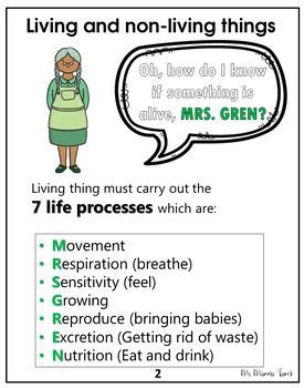 The 7 Life Processes: MRS GREN {MUST-HAVE} { BUNDLE!} - Ms Marwa Tarek | Characteristics of ...