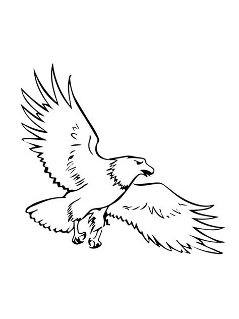 Eagle Coloring Pages - Kidsuki