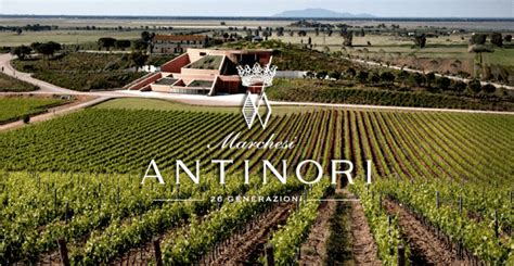 The Antinori Family – A History - xtraWine Blog