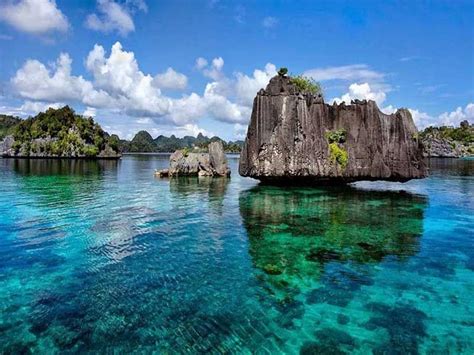 Pin on Raja Ampat Marine Park