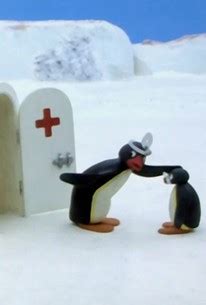 Pingu: Season 2, Episode 1 - Rotten Tomatoes