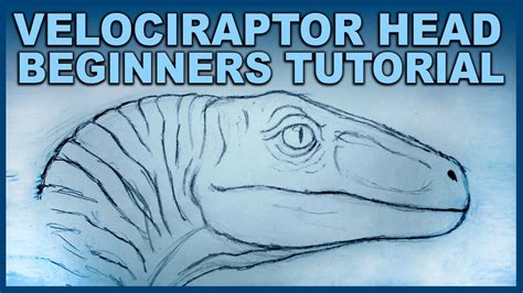 Raptor Head Drawing