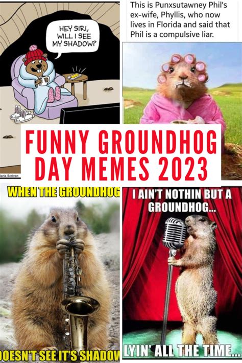 The Funniest 2023 Groundhog Day Memes to Share - Lola Lambchops