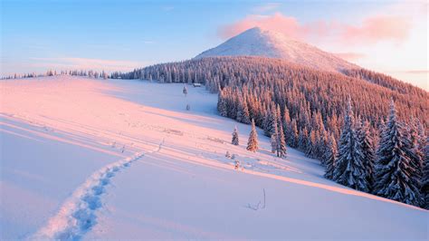 Snowy Trail | Winter landscape, Landscape wallpaper, Winter wallpaper