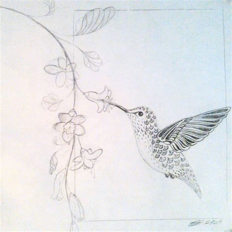 Hummingbird And Flower Drawing at GetDrawings | Free download