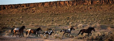 High Desert Discovery Scenic Byway - Travel Oregon