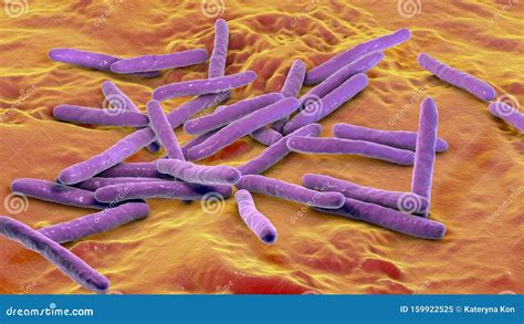 Mycobacterium Leprae Bacteria Stock Illustration - Illustration of microscopic, gram: 159922525