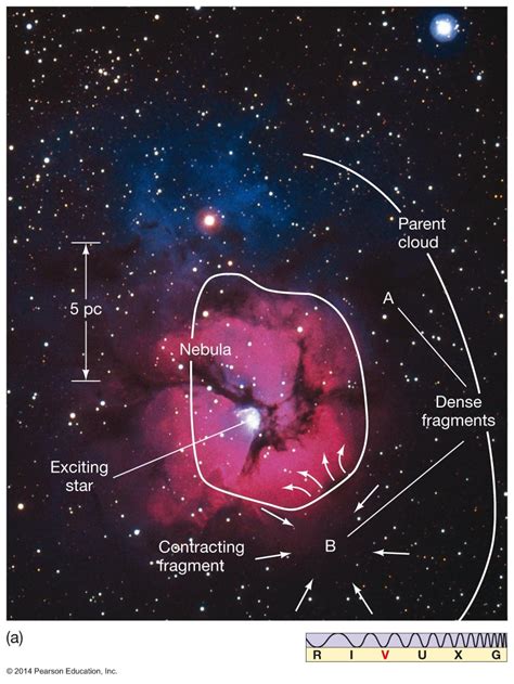 Describe the Process of Star Formation