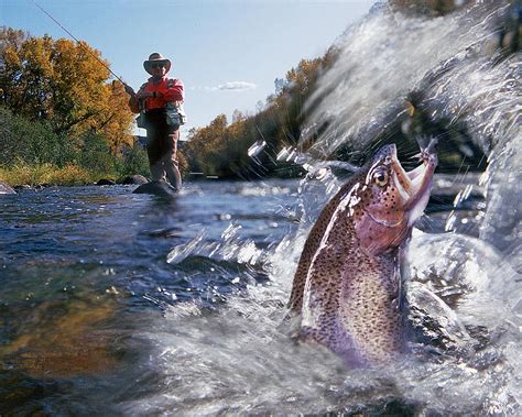 Fly Fishing For Trout Horizontal Photograph by Burton McNeely