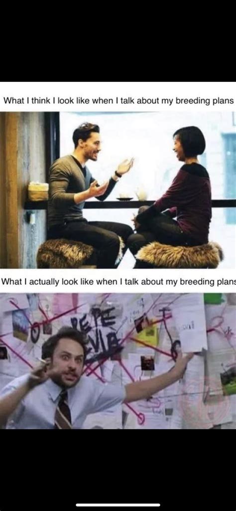 Dino breeding be like : r/ARK