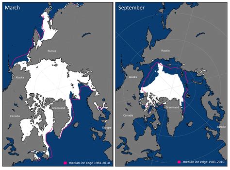 arctic sea ice 2023