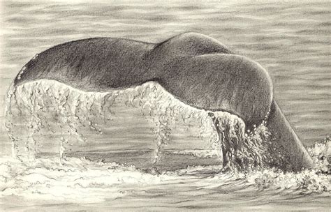 Ocean drawing, Easy charcoal drawings, Drawings