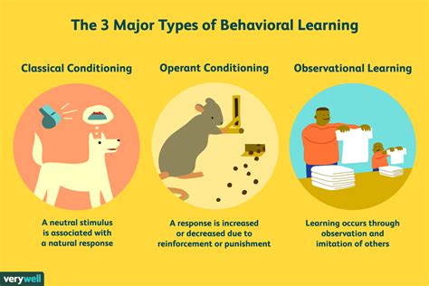 the 3 major types of behavioral learning - Google Search ...